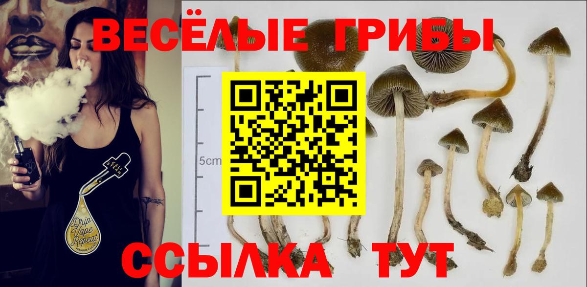 Псилоцибиновые грибы мухоморы  Вход с VPN  Лабытнанги  Галлюциногенные грибы GOLDEN TEACHER 